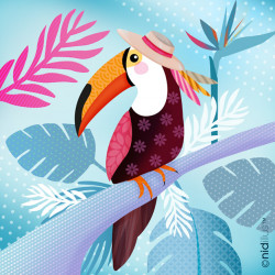 Coupon "Le Toucan exotique"...