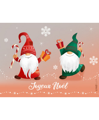 Coupon "Les lutins Joyeux"...